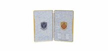 Pack Duo Pokémon Ecarlate et Violet avec SteelBook Nintendo Switch